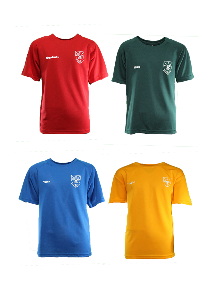 Paeroa College PE/HouseTee